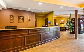 Best Western Paradise Inn Savoy Il